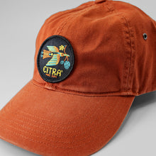 Load image into Gallery viewer, Citra® Dad Hat Orange
