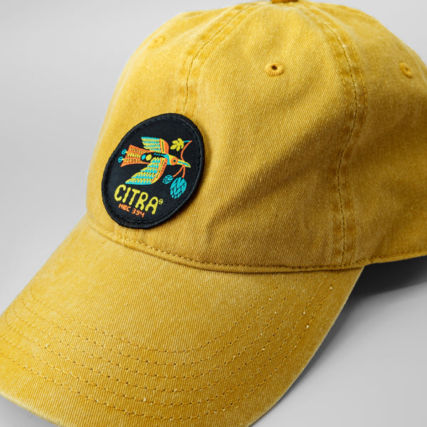 Citra® Dad Hat