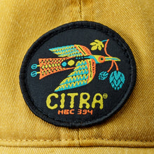 Load image into Gallery viewer, Citra® Dad Hat Yellow
